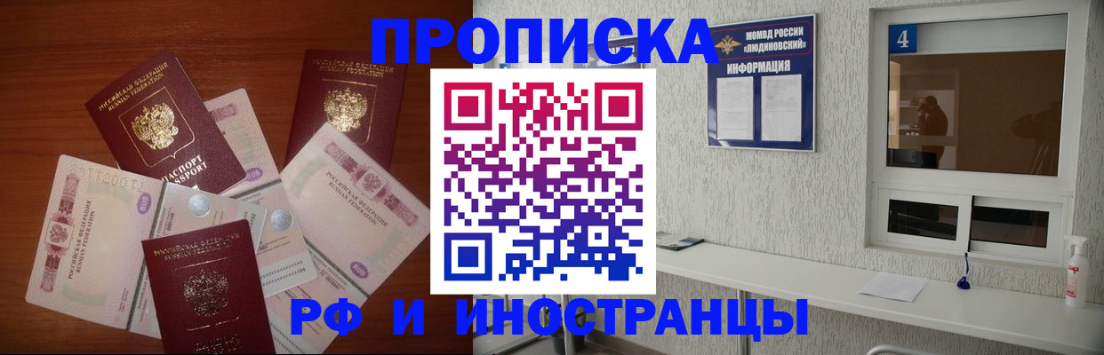 прописка ребенка в Щёкино
